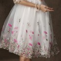 Elegant Scoop Neck Half Sleeves Embroidered Dress For Women