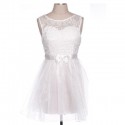 Vintage Scoop Collar Sleeveless Hollow Out Bowknot Embellished Women's Dress