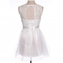 Vintage Scoop Collar Sleeveless Hollow Out Bowknot Embellished Women's Dress