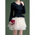 Vintage Scoop Neck Long Sleeves Flounce Lace Voile Splicing Dress For Women