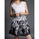 Vintage Scoop Neck Sleeveless Leaves Print Lace Splicing Dress For Women