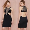 Hollow Out 2015 New Vestidos De Festa Women Sexy Dress Special Mesh Patchwork Backless Street Style Fashion Casual Dress HW0301
