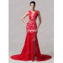 Elegant   Sexy Slit Side Lace Applique Special Occasion Formal Evening dress Celebrity Prom Red Carpet dresses CL6120