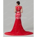Elegant   Sexy Slit Side Lace Applique Special Occasion Formal Evening dress Celebrity Prom Red Carpet dresses CL6120