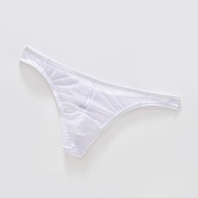 Hot Sissy Mens Transparent Low Waist Bikini Swimwear Thong Lingerie Thin Briefs
