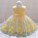 WEONEWORLD Baby Girl Dress 2018 Summer  Kids Dresses for Girls Flower Birthday Party Princess Dress  Baby Girl Clothes