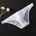 Men Briefs Male Underwear Mesh Panties Sexy Lace Underpants See Through Lingerie Sissy Low Rise Thongs