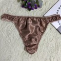 Men Underpants Lingerie Silk Briefs Panties Solid Underwear Sexy Low Rise Thongs Comfortable