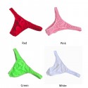 One Size Men's Viscose Underpants Translucent Lingerie Underwear Thong Sexy Casual Comfy Comfortable